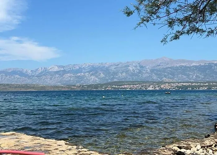 With A Parking Space Novigrad - 12572 Apartman *